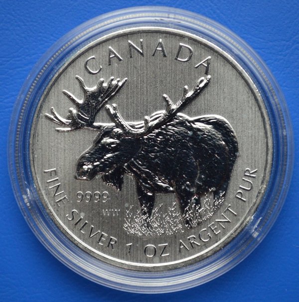 5 dollar Canada Elch Moose 1 ounce 999/1000 zilver 2012 er kunnen melk vlekjes op zitten