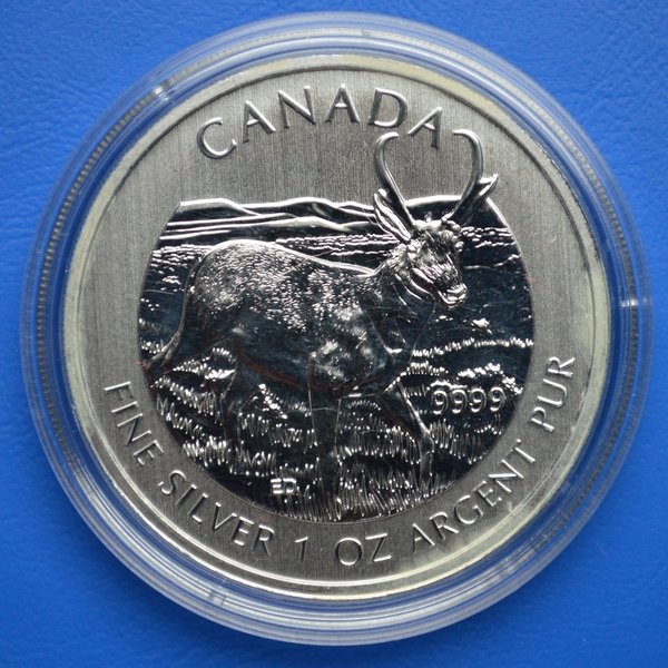 5 dollar Canada Antilope 999/1000 zilver 2013 er kunnen melk vlekjes op zitten