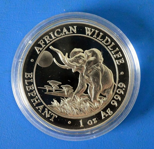 100 shilling Somalie Africa Elephant Wildlife 1 ounce 999/1000 zilver 2016 in capsule