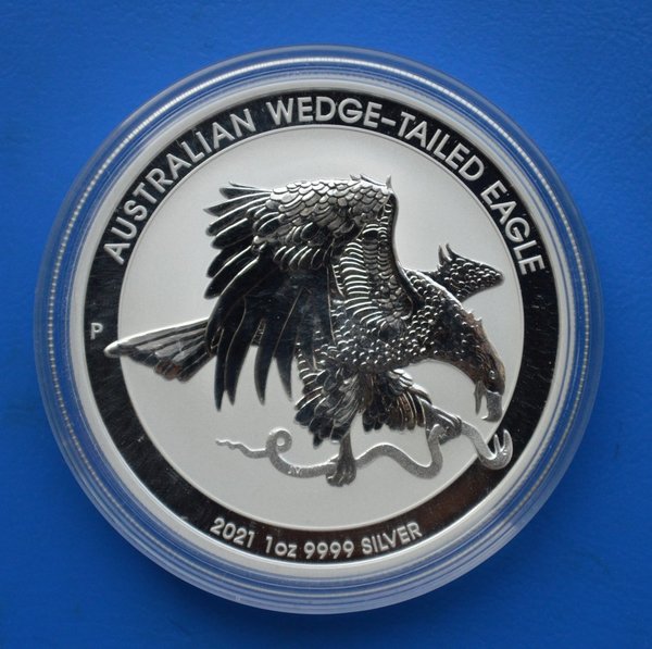 1 dollar Australie Wedge-Taled Eagle 1 ounce 999/1000 zilver 2021 in capsule