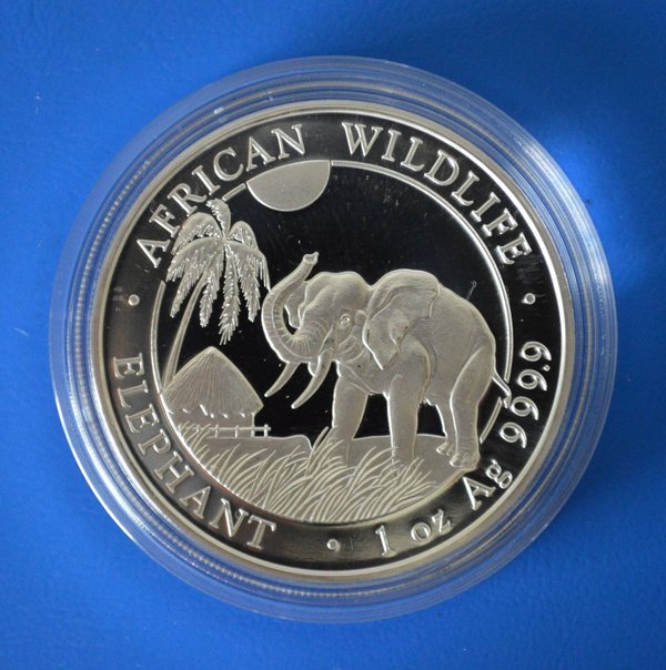 100 shilling Somalie Africa Elephant Wildlife 1 ounce 999/1000 zilver 2017 in capsule