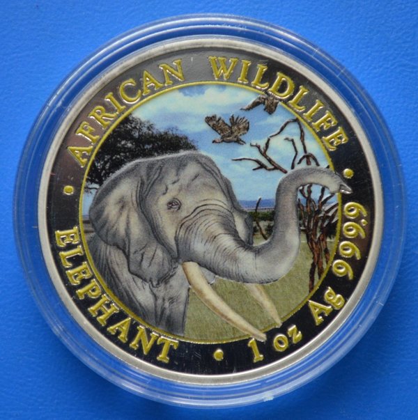 100 shilling Somalie Africa Elephant Wildlife 1 ounce 999/1000 zilver in kleur 2018 in capsule
