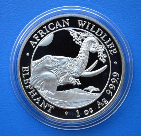 100 shilling Somalie Africa Elephant Wildlife 1 ounce 999/1000 zilver 2023 in capsule
