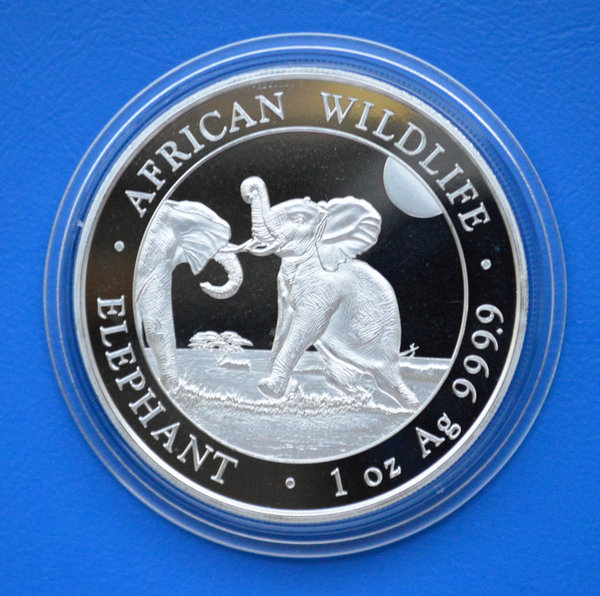 100 shilling Somalie Africa Elephant  Wildlife 1 ounce 999/1000 zilver 2024 in capsule