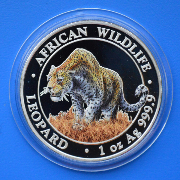 100 shillings Somalie Leopard in kleur 1 ounce 999/1000 zilver 2023 in capsule