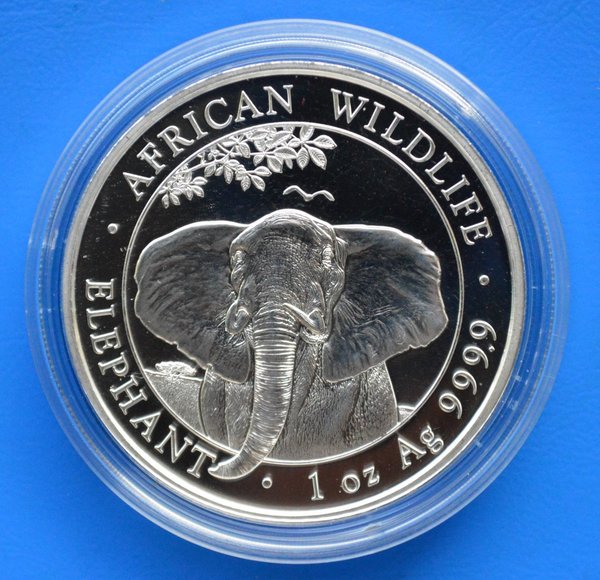 100 shilling Somalie Africa Elephant Wildlife 1 ounce 999/1000 zilver 2021 niet in capsule
