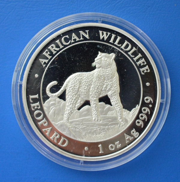 100 shilling Somalie Africa Leopard Wildlife 1 ounce 999/1000 zilver 2022 in capsule