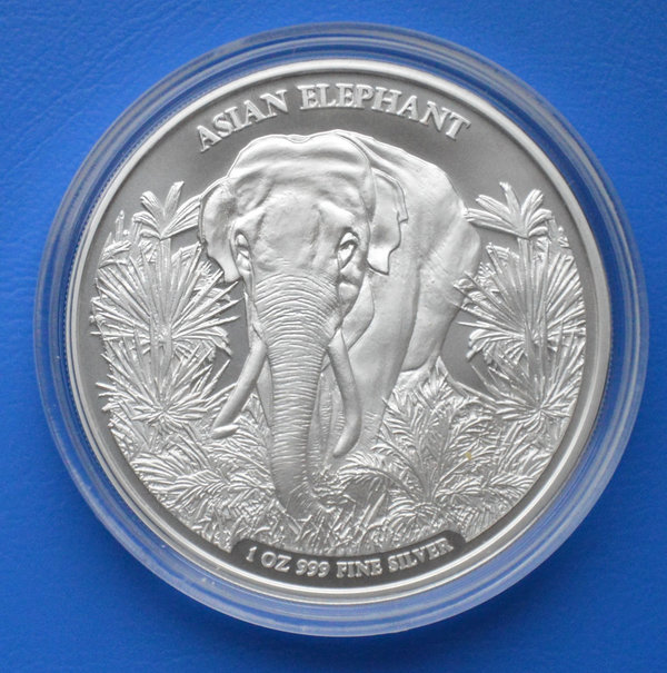 3000 riels Cambodia Asian Elephant 1 ounce 999/1000 zilver 2023 in capsule