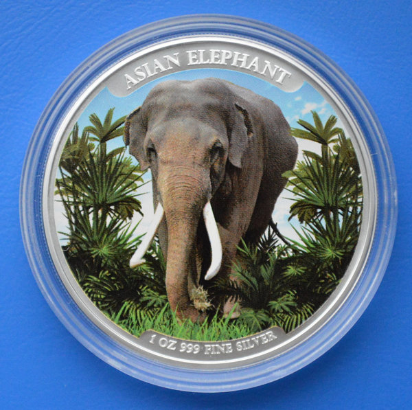 3000 riels Cambodia Asian Elephant kleur 1 ounce 999/1000 zilver 2023 in capsule oplage 2000 stuks