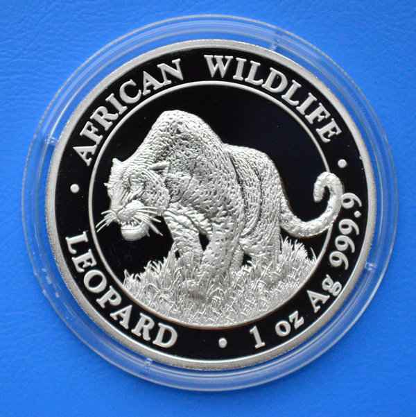 100 shilling Somalie Africa Leopard Wildlife 1 ounce 999/1000 zilver 2023 in capsule